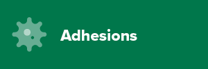 Adhesions