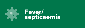 Fever / Septicaemia